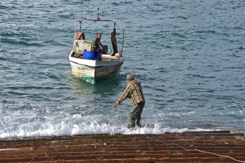 Fishing boat returning from catch