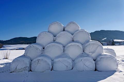 Snow-covered silage bales near Nellenbruck