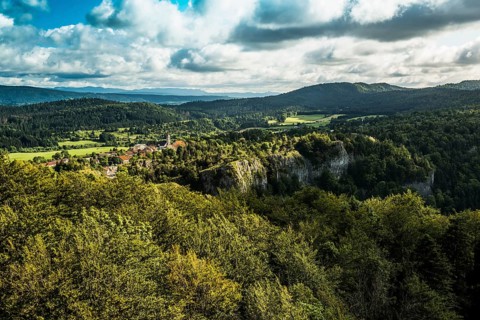 Les Saillards
