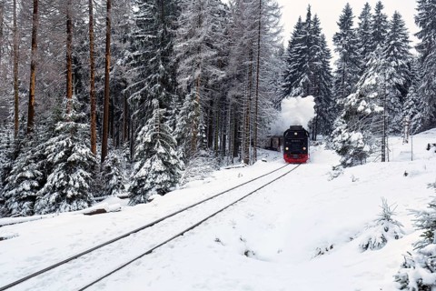 Brockenbahn in snowy forest