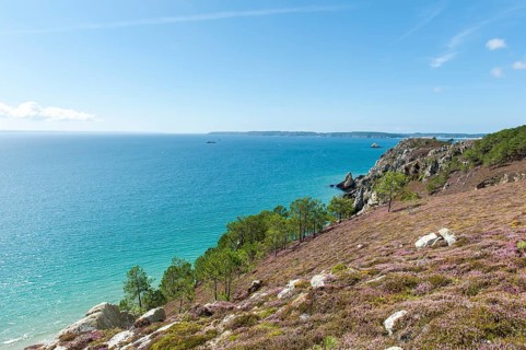 Rocky coast