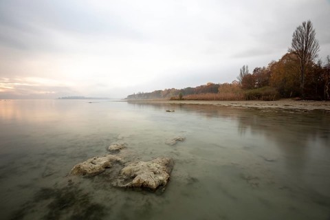 Autumn morning in the rain at Klausenhorn
