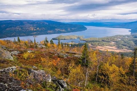 Autumn landscape