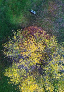 Drone shot