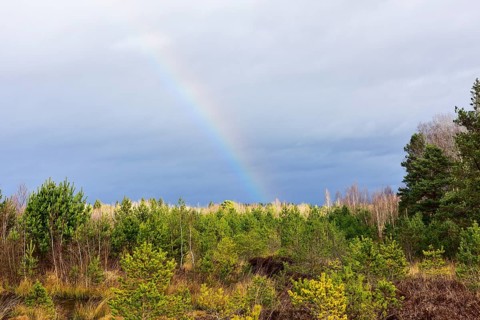 Autumn storm with rainbow in moor landscape