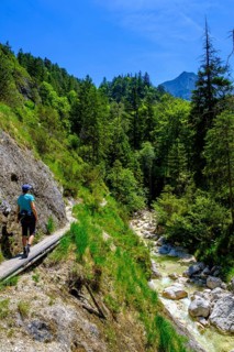 Aschauer creek
