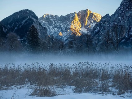 Winter landscape in the fog