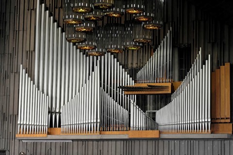 Organ