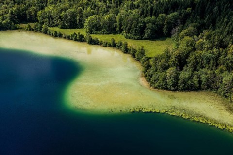 lake scenery