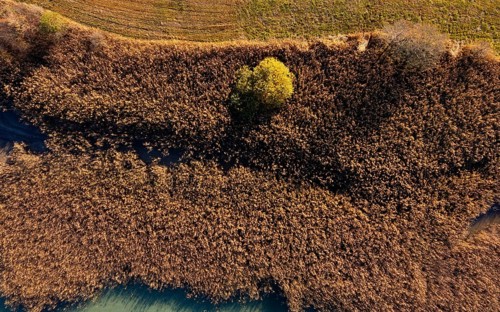 Drone image