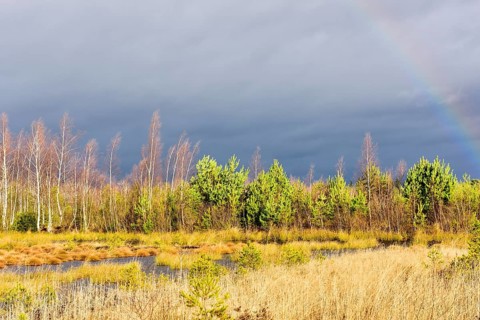 Autumn storm with rainbow in moor landscape
