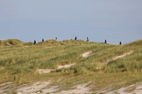 Riders in sand dunes