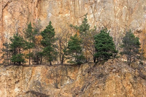 Disused porphyry quarry