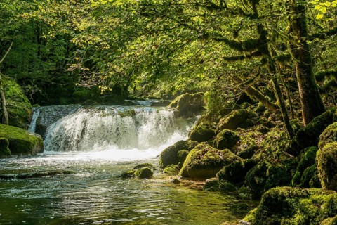 Waterfall and mossy rocks
