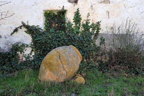 Clay amphora in front of house wall with ivy