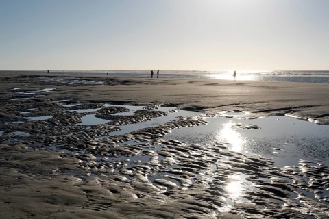 Walkers on the beach at low tide with tide pools