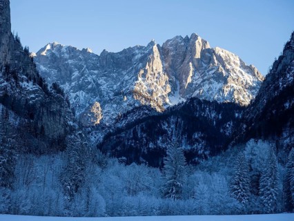 Winter landscape