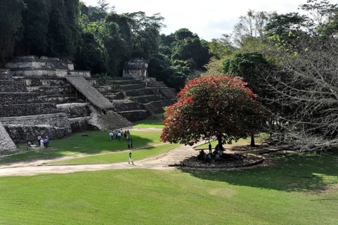 Pre-Columbian Maya site of Palenque