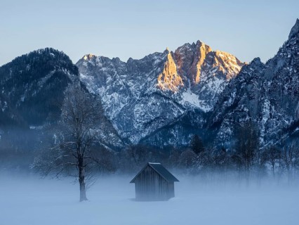 Winter landscape in the fog