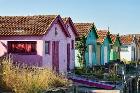 Colourful oyster farmers' huts