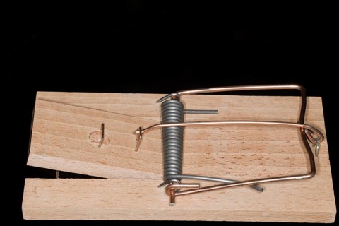 Rat trap