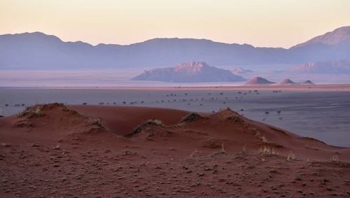 Red dunes in the evening light