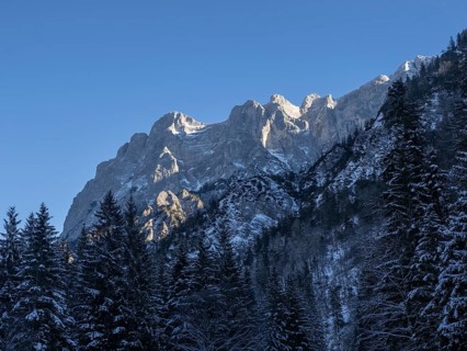 Winter landscape