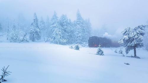 Brockenbahn in snowy landscape