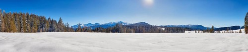 Winter landscape