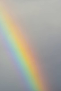 Rainbow Segment