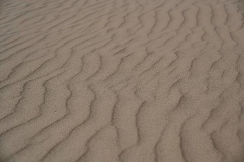 Sand with ripples