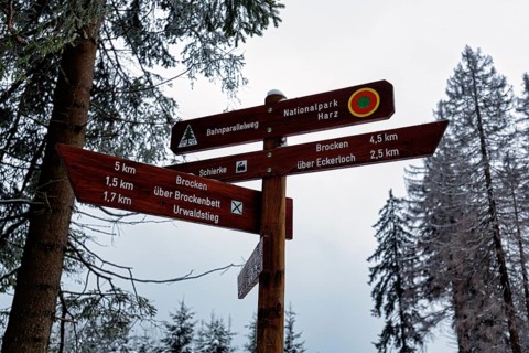 Signposts for hiking trails in the forest