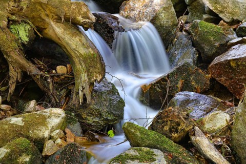 Streambed of the Mistbach near the Fahler waterfall