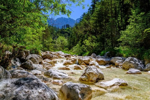Aschauer creek