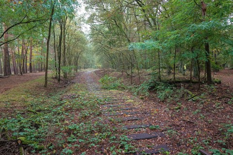 Old railway line of the Boetzowbahn