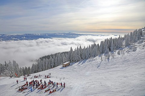 Winter sportsmen in snowy landscape