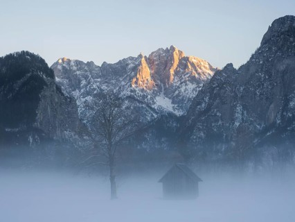 Winter landscape in the fog