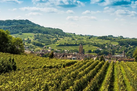 Arbois