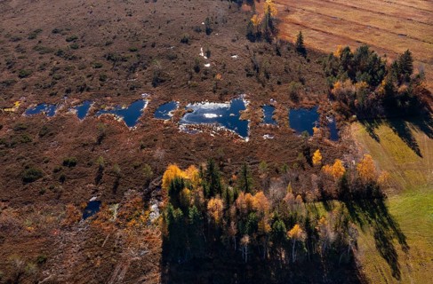 Drone image