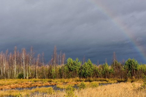 Autumn storm with rainbow in moor landscape