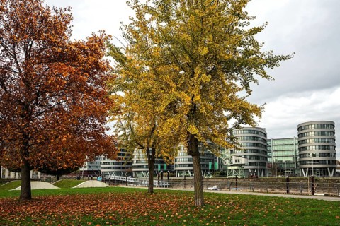 Garden of Memories with Five Boats office building
