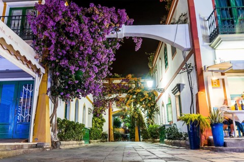 Charming blooming flowers on narrow streets of Puerto de Mogan