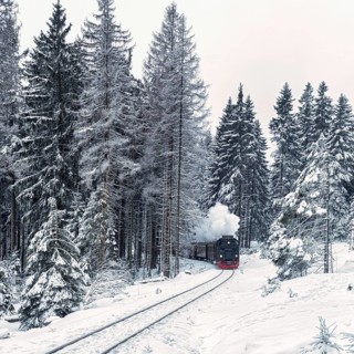 Brockenbahn in snowy forest