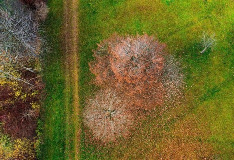 Drone shot