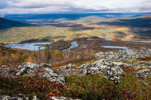 Autumn landscape