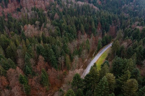 Drone shot