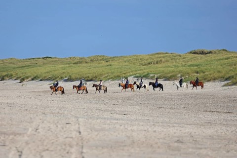 Riders in sand dunes