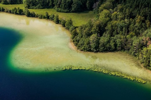 Lake landscape