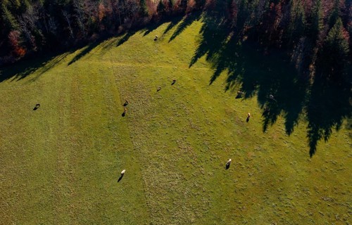 Drone image