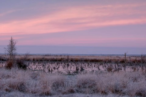 Goldenstedter Moor